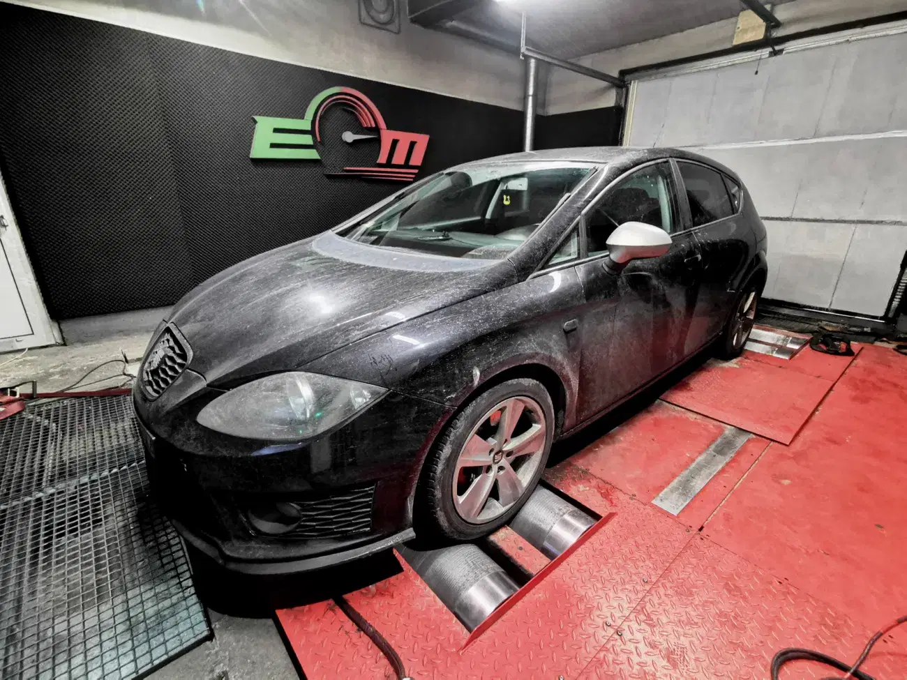 Seat Leon 1P 2.0 TDI CR 170 KM 125 kW 2009 — archiwalna realizacja EMsetup
