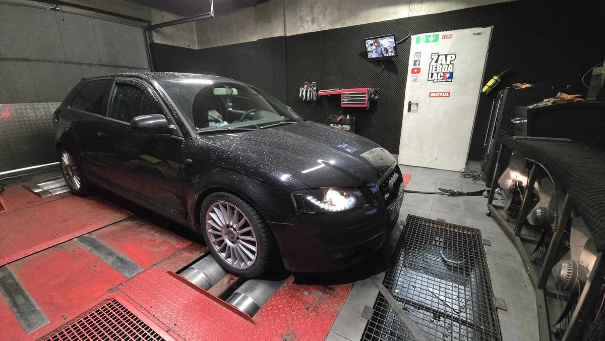 Audi A3 8P 2.0 FSI 150 KM (2003) — realizacja EMsetup