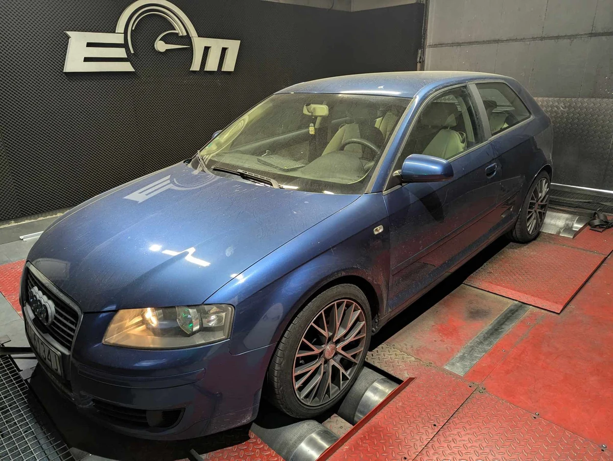 Audi A3 8P (FL) 1.9 TDI 105 KM (2007) — realizacja EMsetup